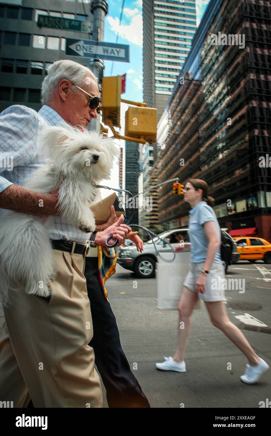 Uomo che cammina con i cani sul lato superiore est. Foto Stock