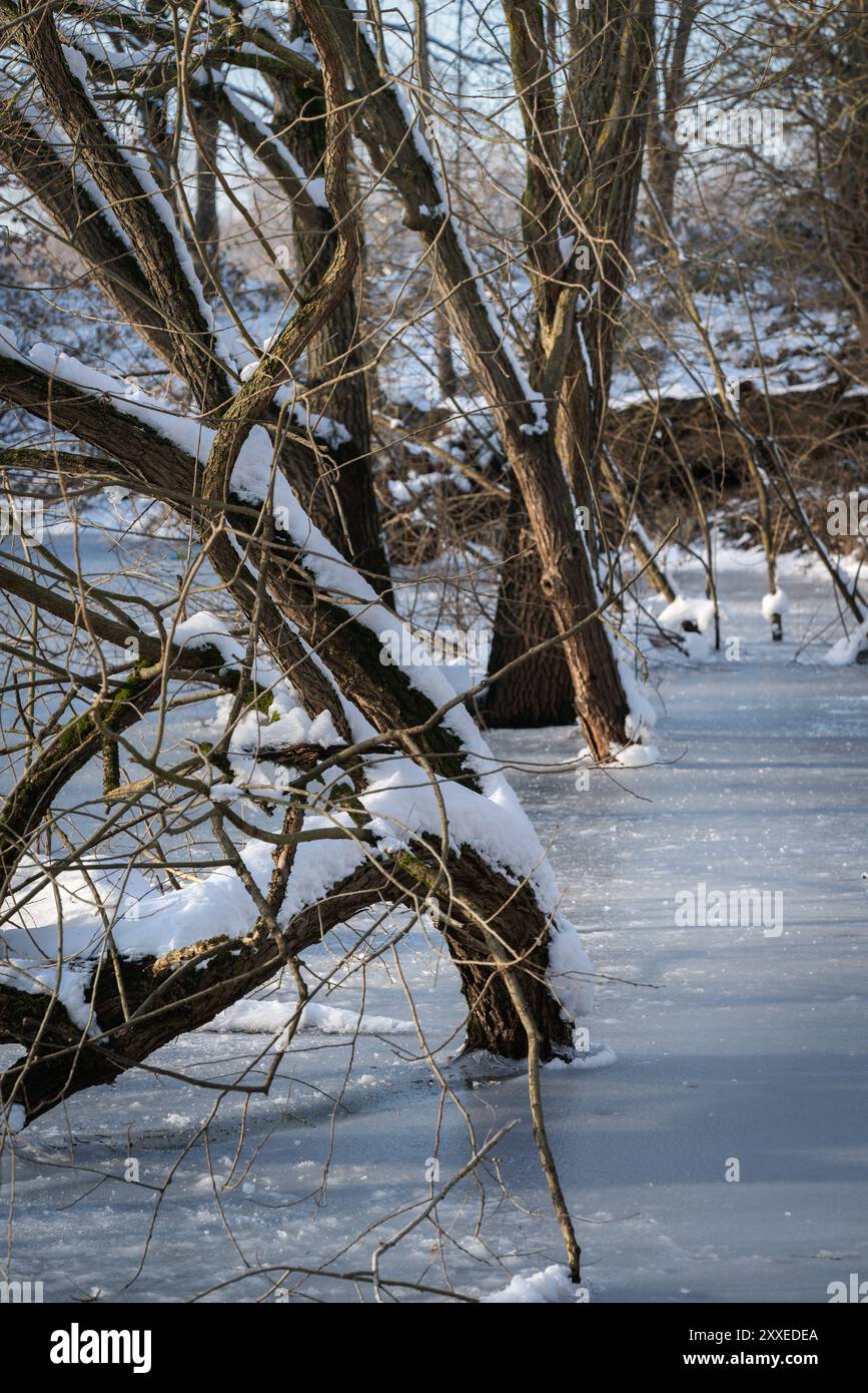 Zona sponda ghiacciata di una pianura alluvionale fluviale alla luce della sera. Una scena invernale. Foto Stock