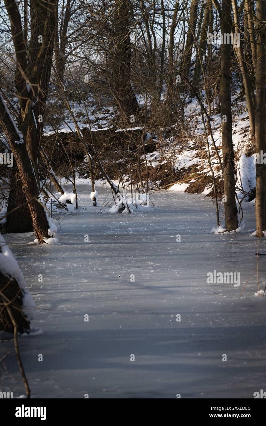 Zona sponda ghiacciata di una pianura alluvionale fluviale alla luce della sera. Una scena invernale. Foto Stock