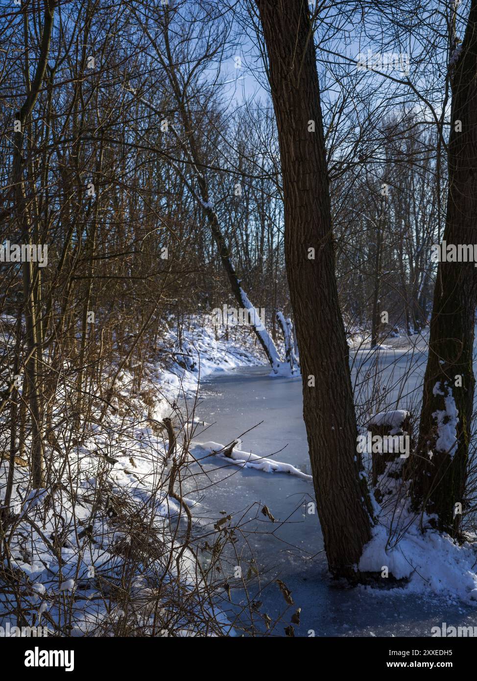 Zona sponda ghiacciata di una pianura alluvionale fluviale alla luce della sera. Una scena invernale. Foto Stock