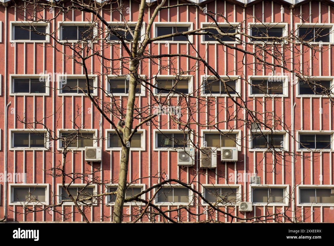 Un albero asciutto di fronte ad una facciata con macchine per l'aria condizionata Foto Stock