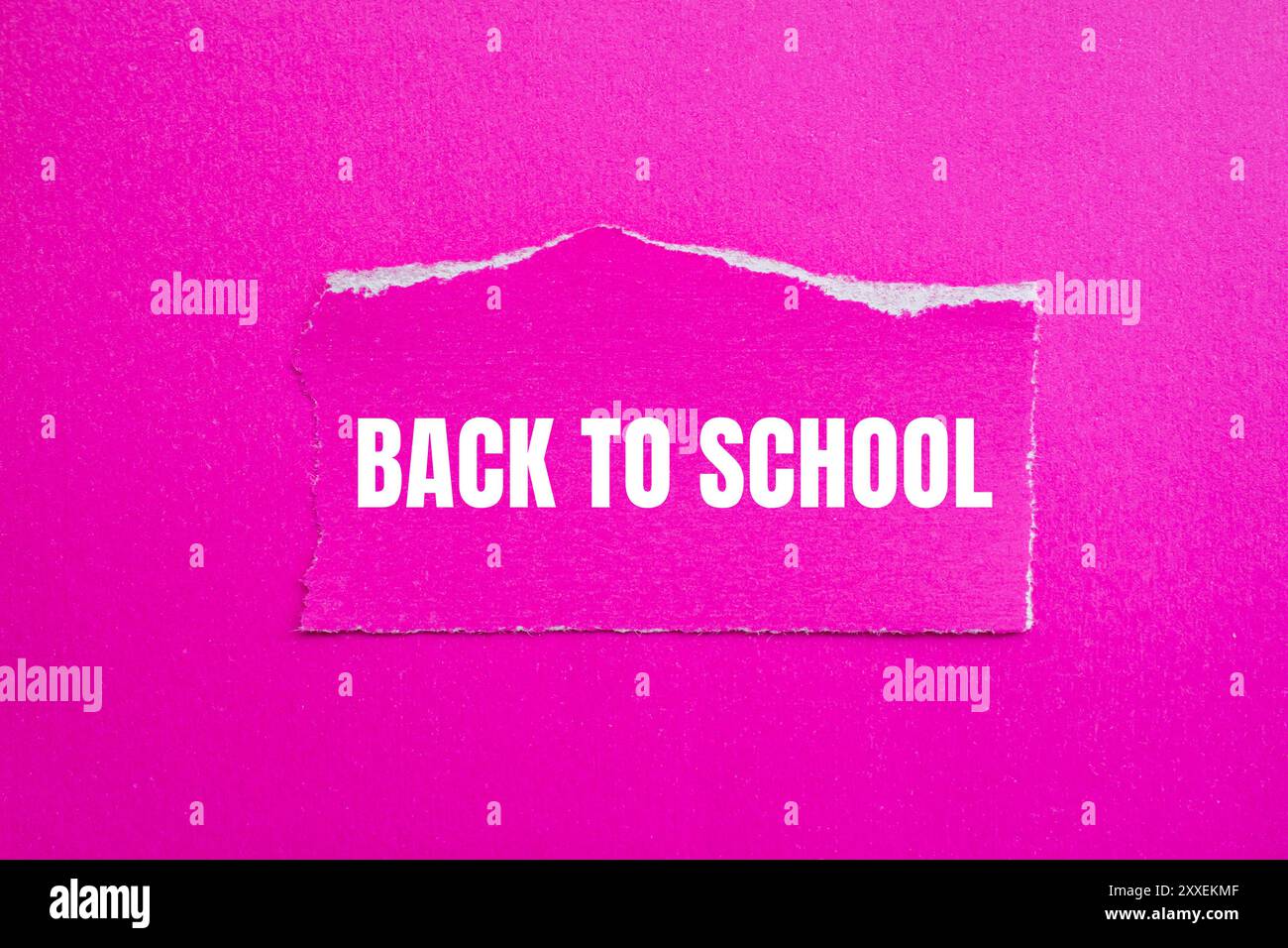 Messaggio di ritorno a scuola scritto su un pezzo di carta rosa strappato con sfondo rosa. Simbolo concettuale di ritorno a scuola. Copia spazio. Foto Stock