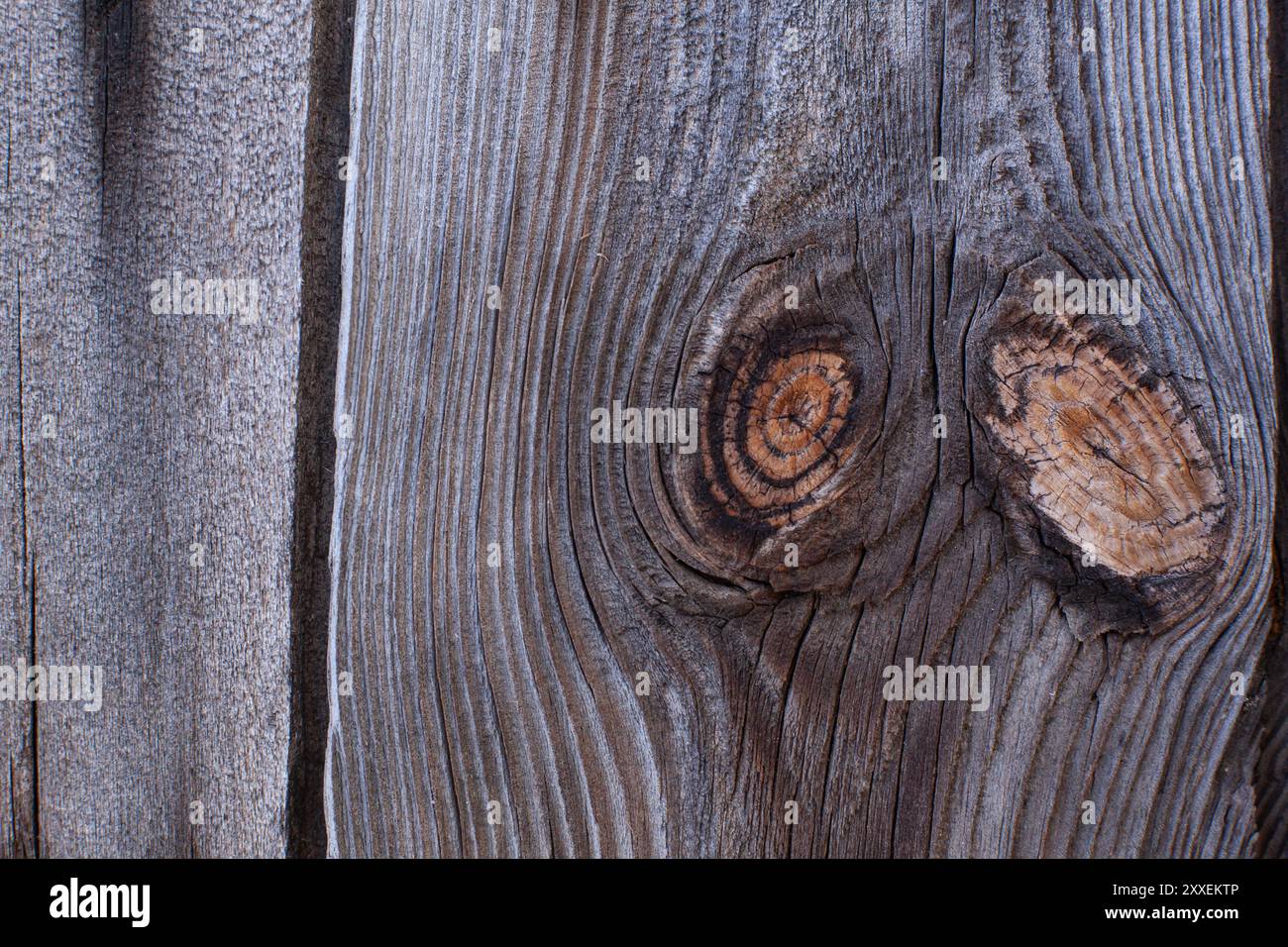 Primo piano di vecchie tavole di legno rustiche con nodi naturali. Foto Stock