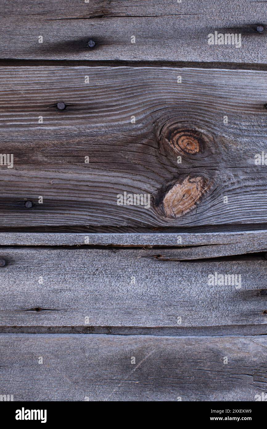 Superficie in legno invecchiato con nodi e chiodi naturali. Struttura in legno. Foto Stock
