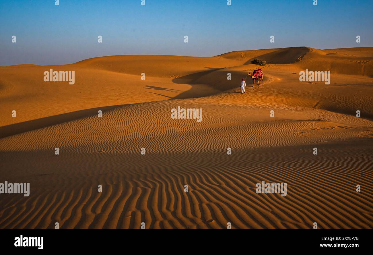 Una serena scena di ampie dune di sabbia al tramonto con un viaggiatore solitario che conduce un cammello, catturando la bellezza tranquilla di un paesaggio desertico a Jaisalmer , Foto Stock
