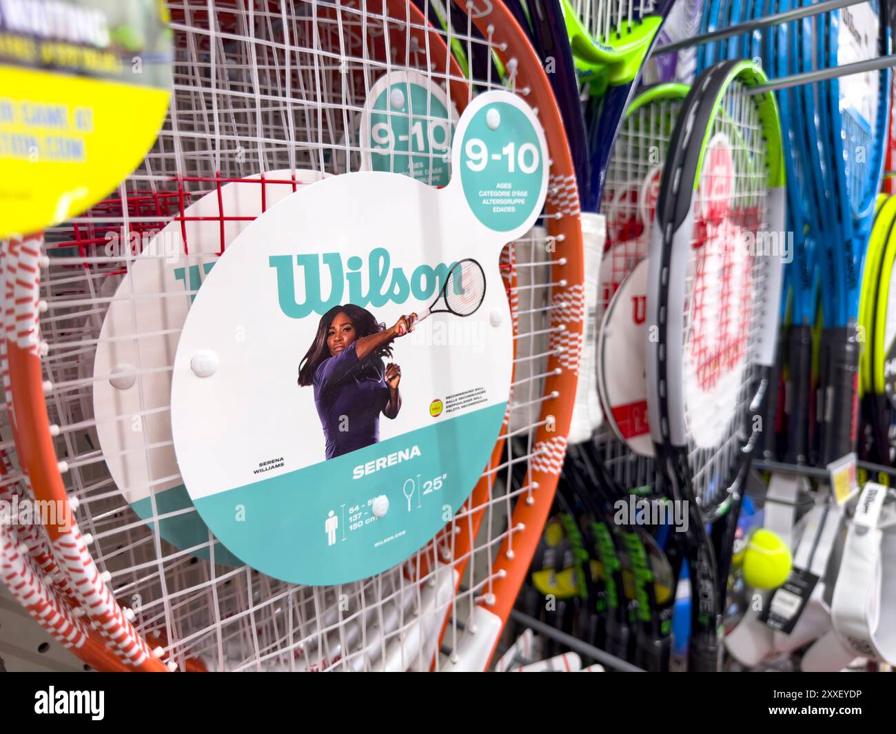 Los Angeles, California, Stati Uniti - 04-14-2024: Una vista ravvicinata di diverse racchette da tennis, in mostra in un negozio locale. Foto Stock