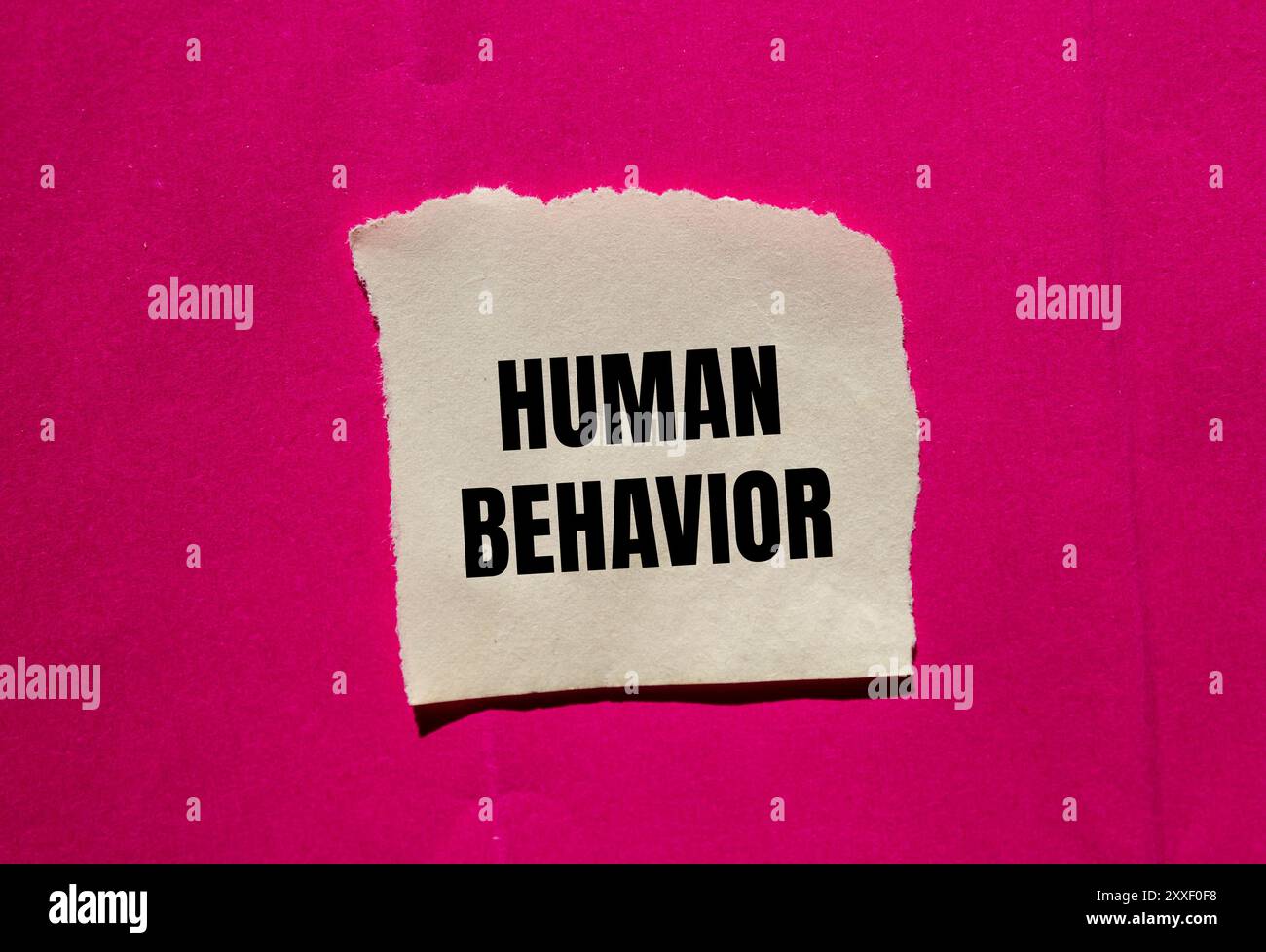 Messaggio sul comportamento umano scritto su un pezzo di carta strappato su sfondo rosa. Simbolo del comportamento umano concettuale. Copia spazio. Foto Stock
