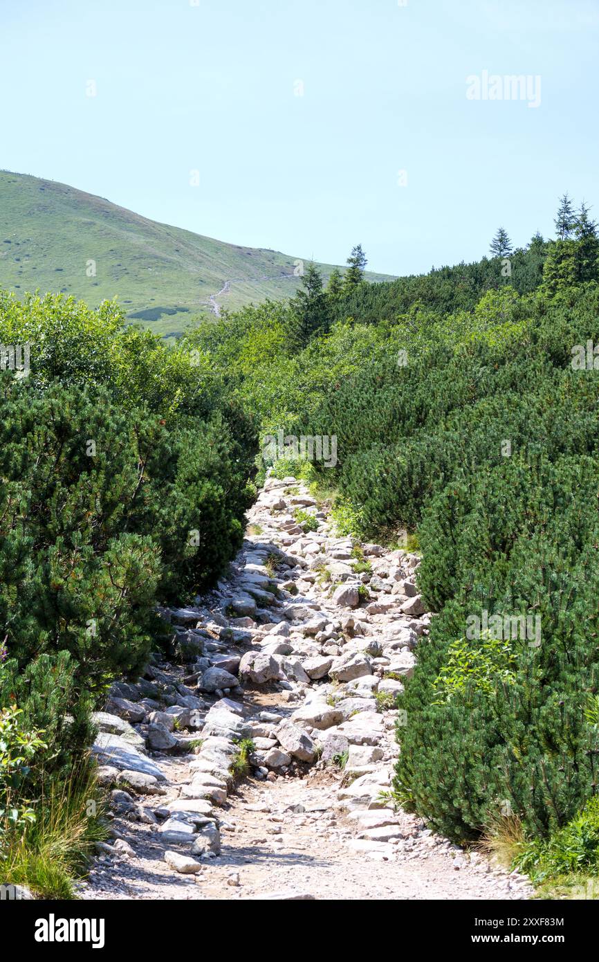Strada turistica in montagna fatta di pietre Foto Stock
