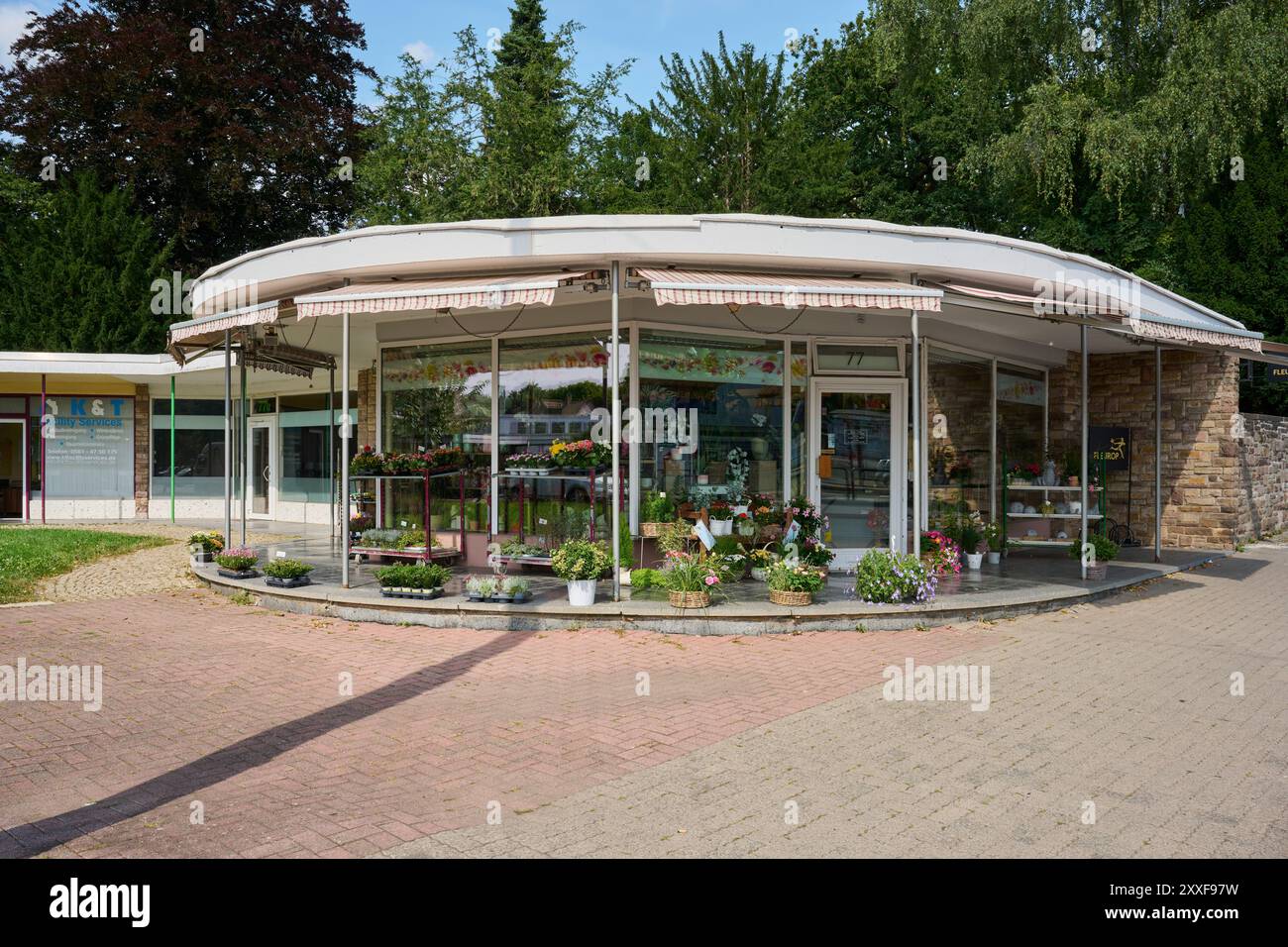 Blumengeschäft Foto Stock