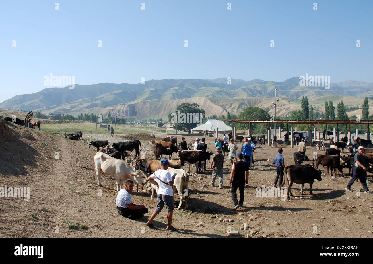 Un mercato del bestiame in Kirghizistan, asia centrale Foto Stock