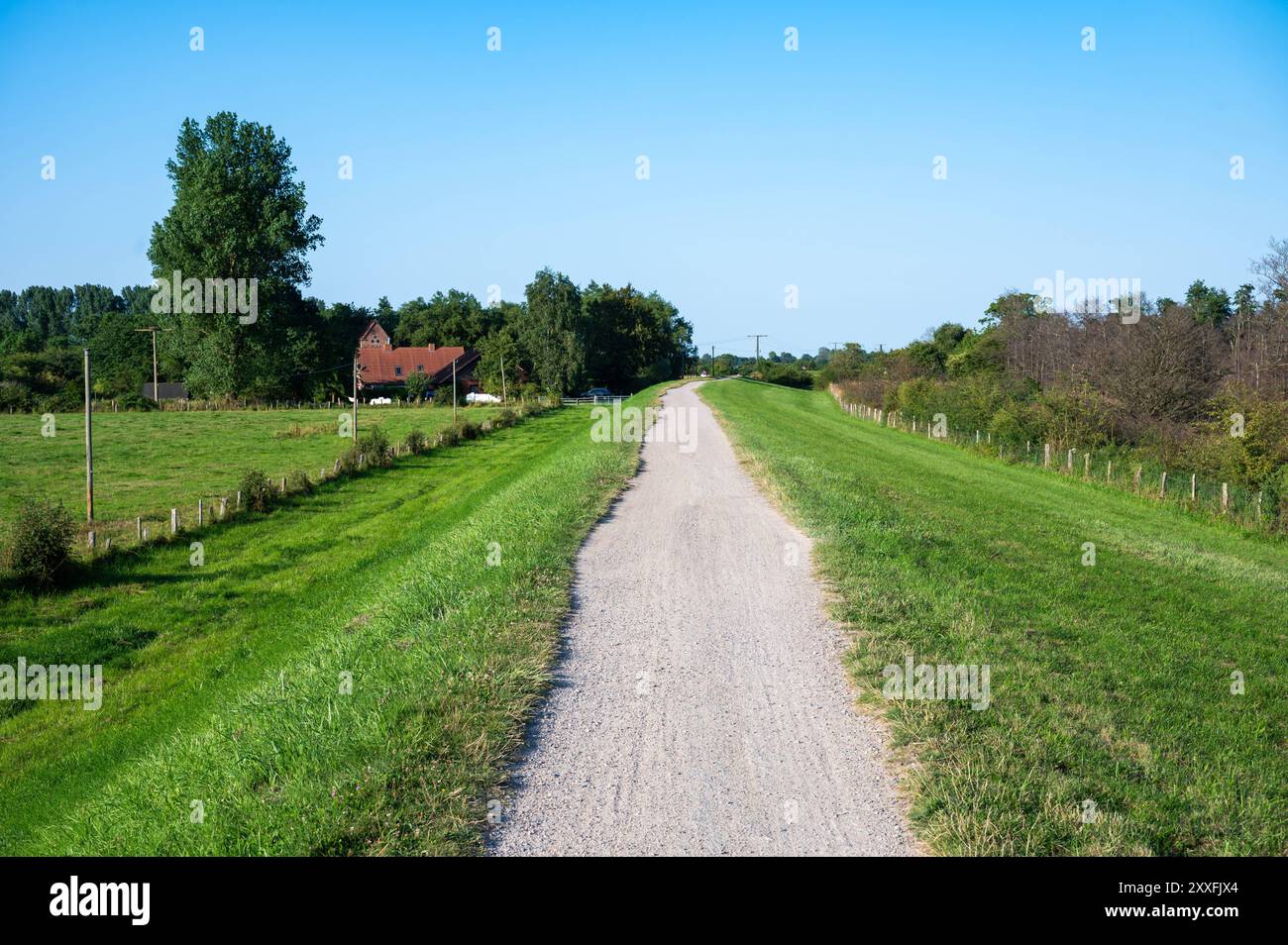 Pista ciclabile ghiaia presso la diga verde sul mare intorno a Grömitz, Germania Foto Stock