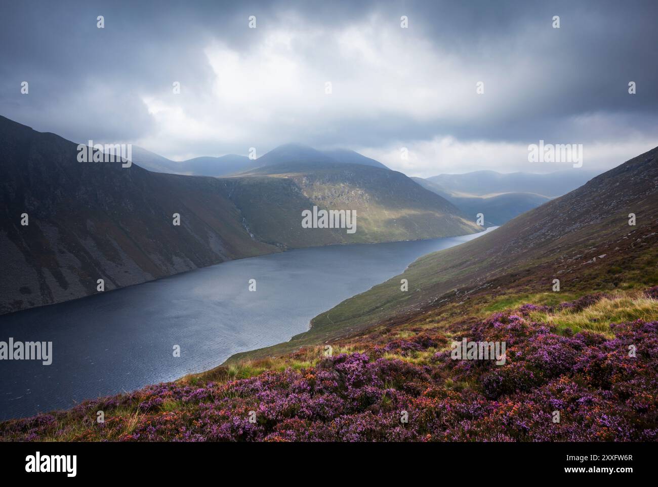 Lago artificiale Ben Crom, sulle Mourne Mountains. Contea di Down, Irlanda del Nord, Regno Unito. Foto Stock