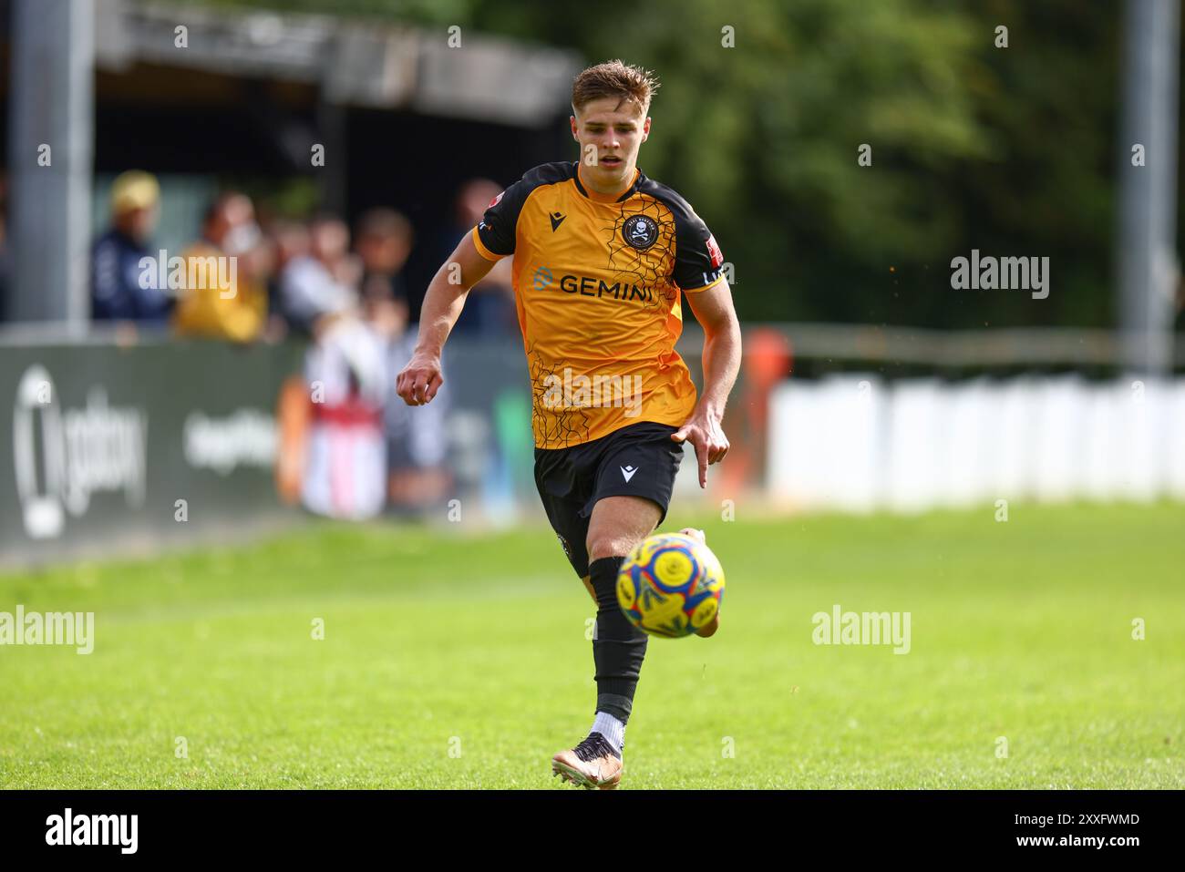 The Ledger Stadium, Bedford, Regno Unito, 24 agosto 2024, durante il lancio in Southern League, Central Division One match tra Real Bedford FC e North Leigh FC tenutosi al Bedfords Ledger Stadium crediti: Nick Phipps/PhippsImages Credit: Nicholas Phipps/Alamy Live News Foto Stock