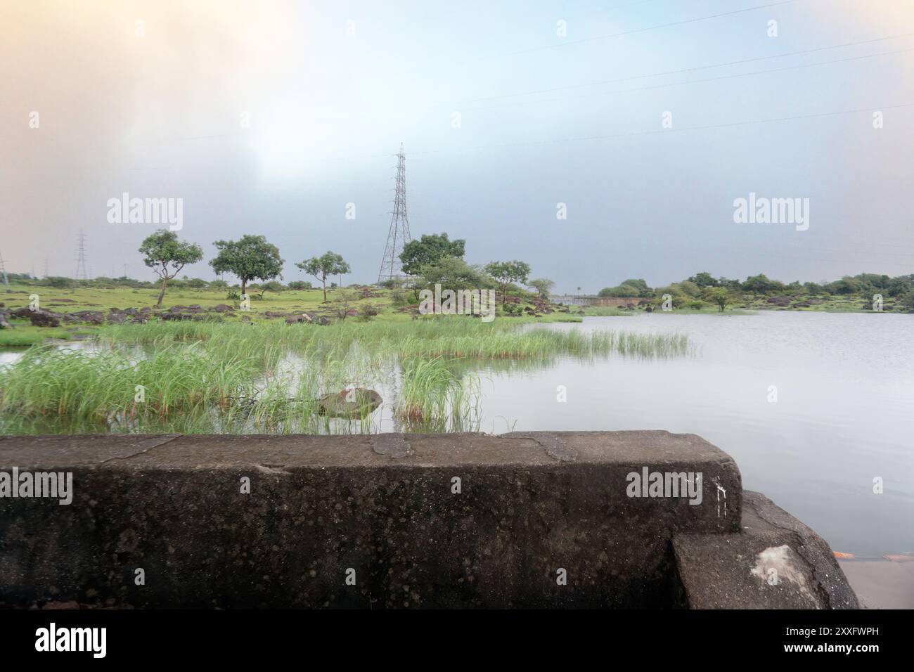 Tranquillo panorama lacustre caratterizzato da abbondante vegetazione e da un lontano traliccio elettrico Foto Stock