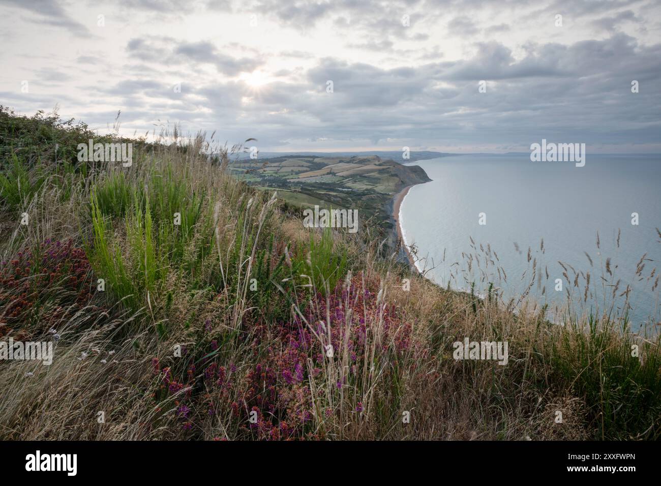 Vista della Jurassic Coast dal Golden Cap all'alba. Dorset, Regno Unito. Foto Stock