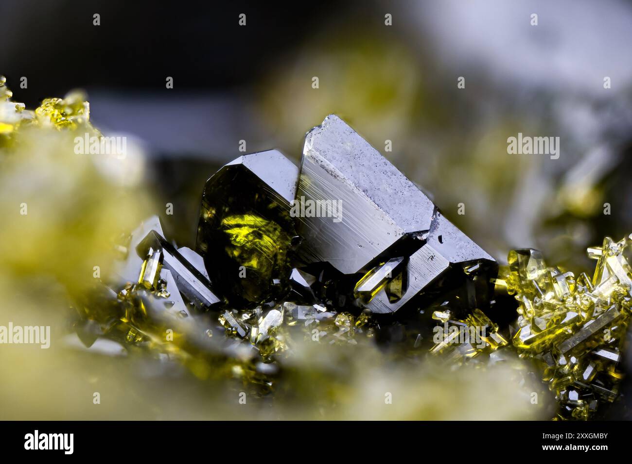Ammasso epidoto verde scuro, campione proveniente dalla Turchia. Micro Photography primi piani estremi. Microscopio a cristalli minerali per uso scientifico. Foto Stock