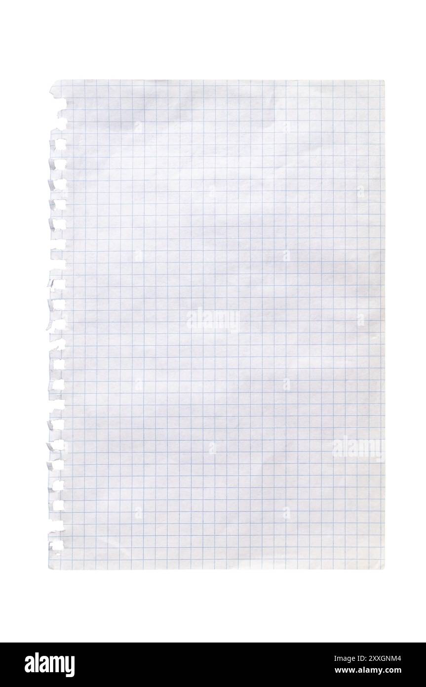 Foglio strappato di carta bianca a scacchi isolato su uno sfondo bianco che mostra linee della griglia perfette per note, disegni e calcoli matematici. Foto Stock