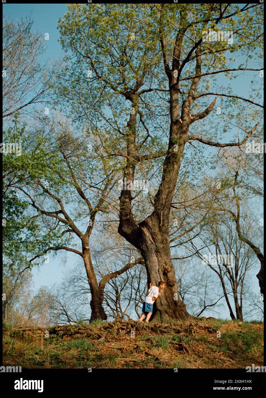 I bambini giocano a nascondino nella parte settentrionale del Central Park. Foto Stock