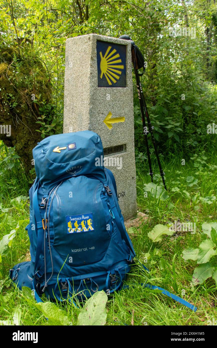 Lo zaino di un pellegrino che si appoggia a una pietra segnaletica galiziana lungo il cammino dell'Invierno verso Santiago de Compostela. Foto Stock