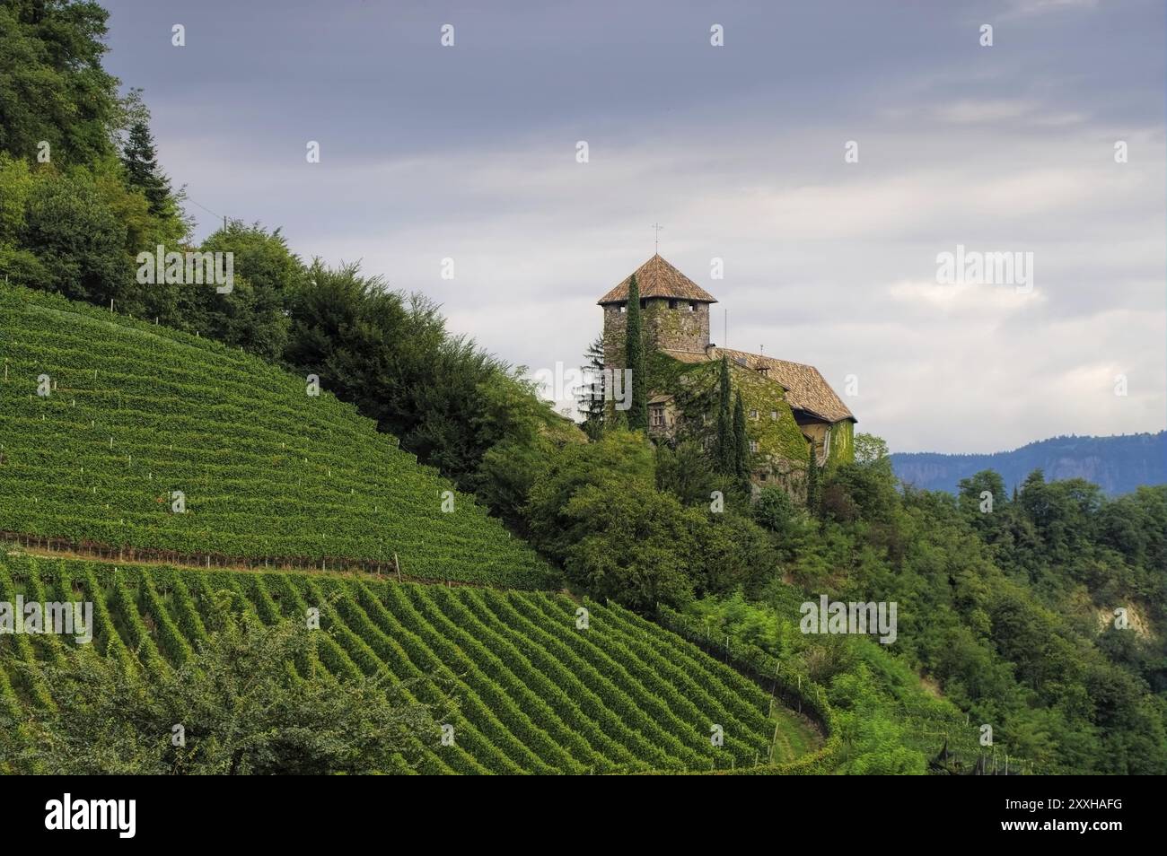 Warthtal Castello Warth vicino Bolzano, Castello Warth vicino Bolzano, alto Adige Foto Stock