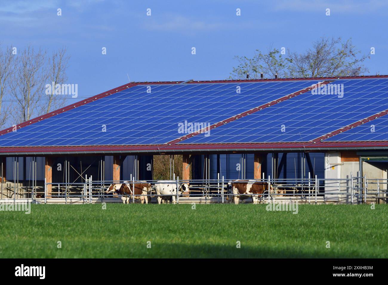 Moderna stalla con sistema solare. Capannone moderno in Sassonia nel settore agricolo Foto Stock