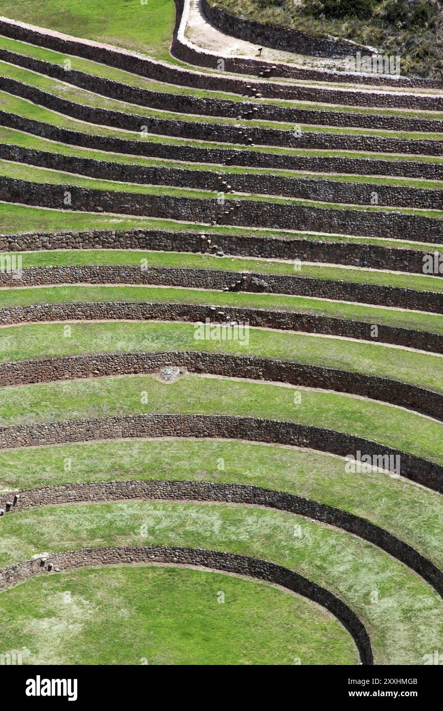 Laboratorio sperimentale agricolo Moray degli Incas vicino a Maras in Perù Foto Stock