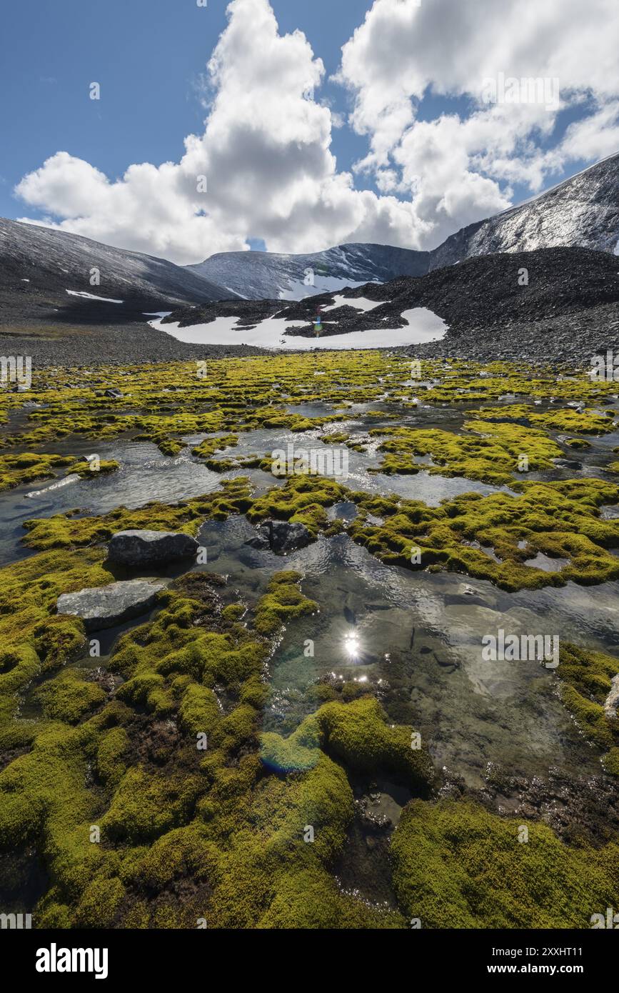 Paesaggio nella valle di Ballinvaggi, Alpi Abisko, Norrbotten, Lapponia, Svezia, luglio 2013, Europa Foto Stock