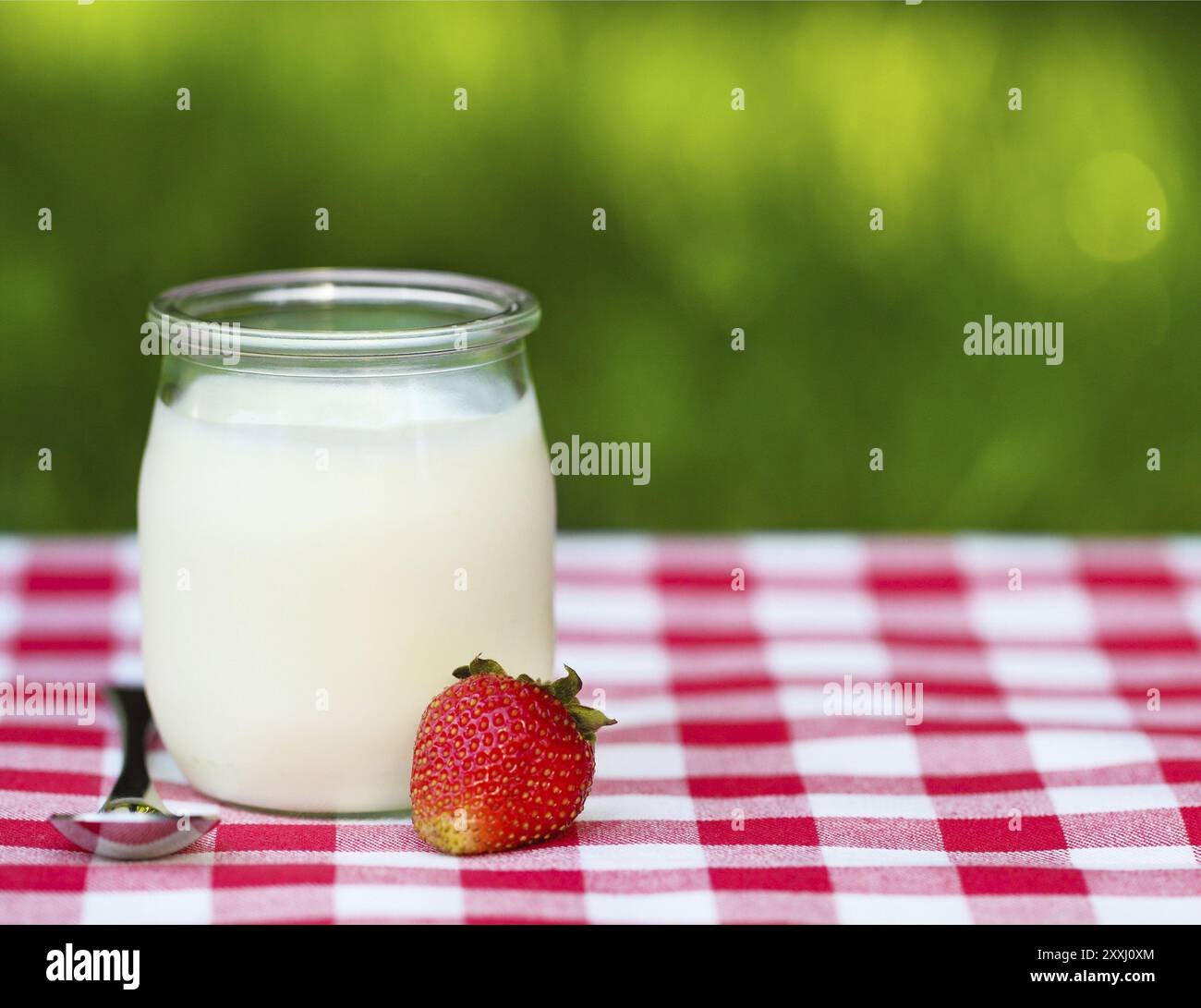 Yogurt alla fragola in un vaso di vetro con fragole fresche Foto Stock