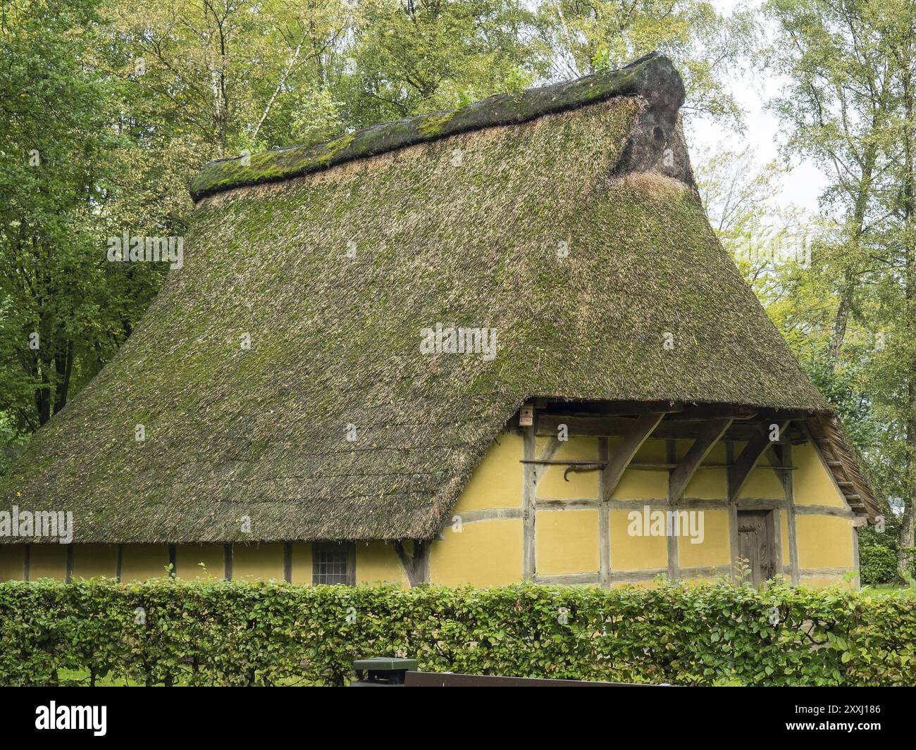 Tradizionale casa in legno con tetto in paglia nel mezzo di un'area boscosa, Bad Zwischenahn, ammerland, germania Foto Stock