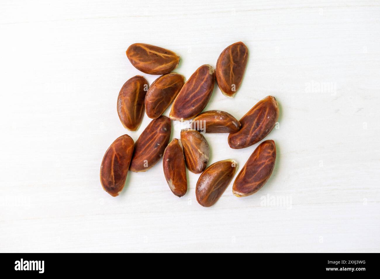 Semi di mela di velluto (Diospyros Blancoi) su una superficie di legno chiaro. Vista dall'alto. Foto Stock
