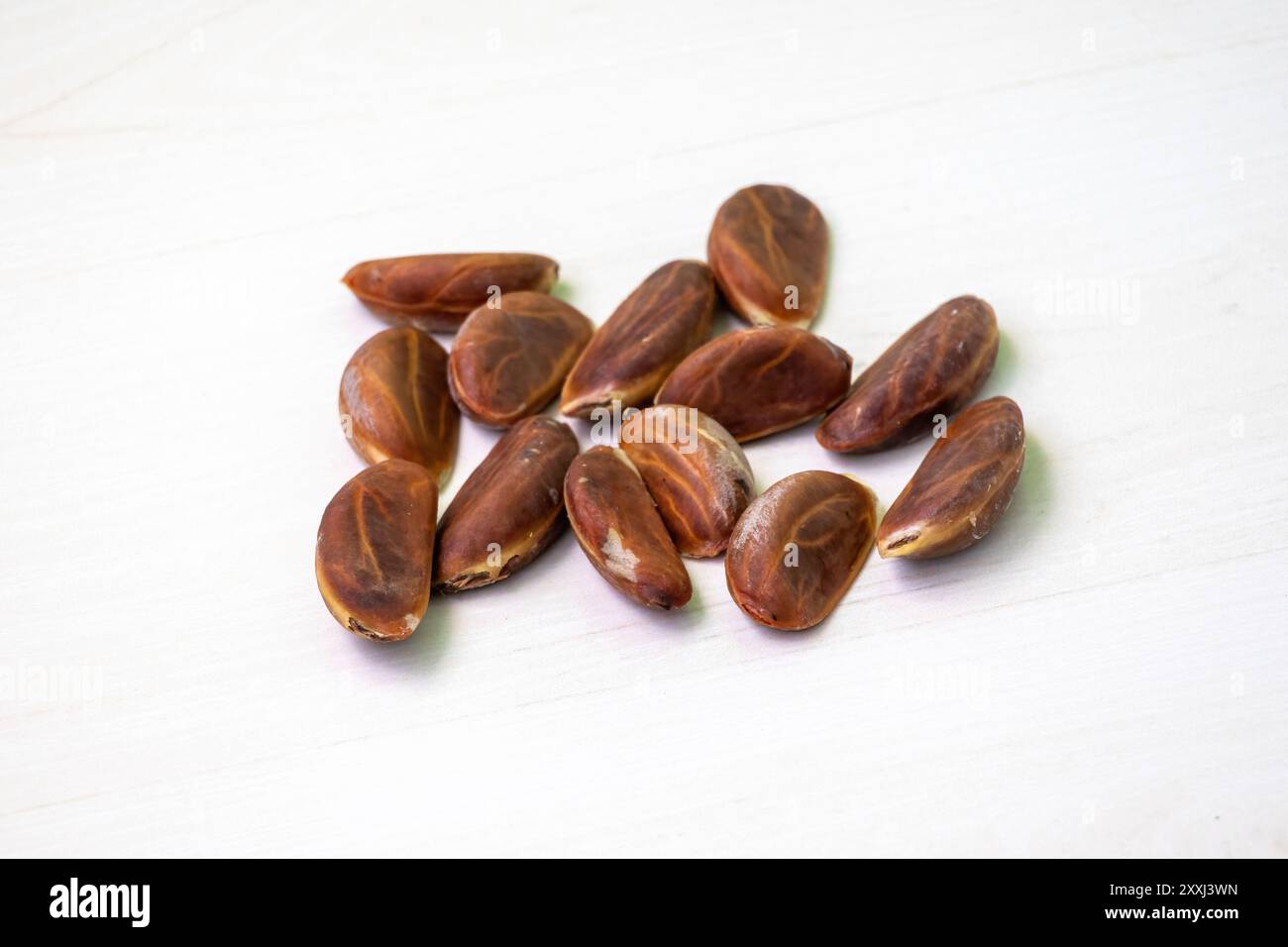 Semi di mela di velluto (Diospyros Blancoi) su una superficie di legno chiaro. Foto Stock