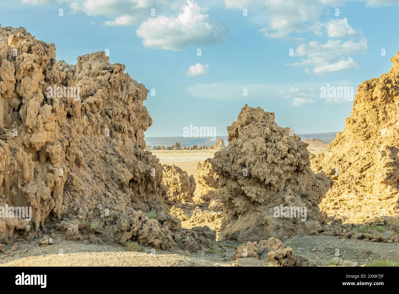 Antichi camini formazioni rocciose minerali sul fondo secco del lago salato Abbe, regione di Dikhil, Gibuti Foto Stock