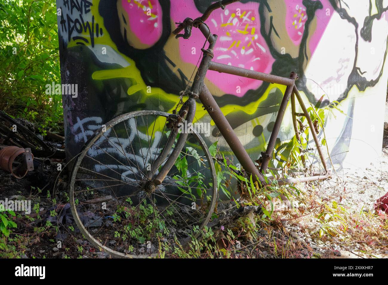 Salford, Greater Manchester, Regno Unito. 24 agosto 2024: Una vecchia bicicletta arrugginita si appoggia contro un muro ricoperto di graffiti colorati. La scena e' ambientata in una fase conclusiva Foto Stock