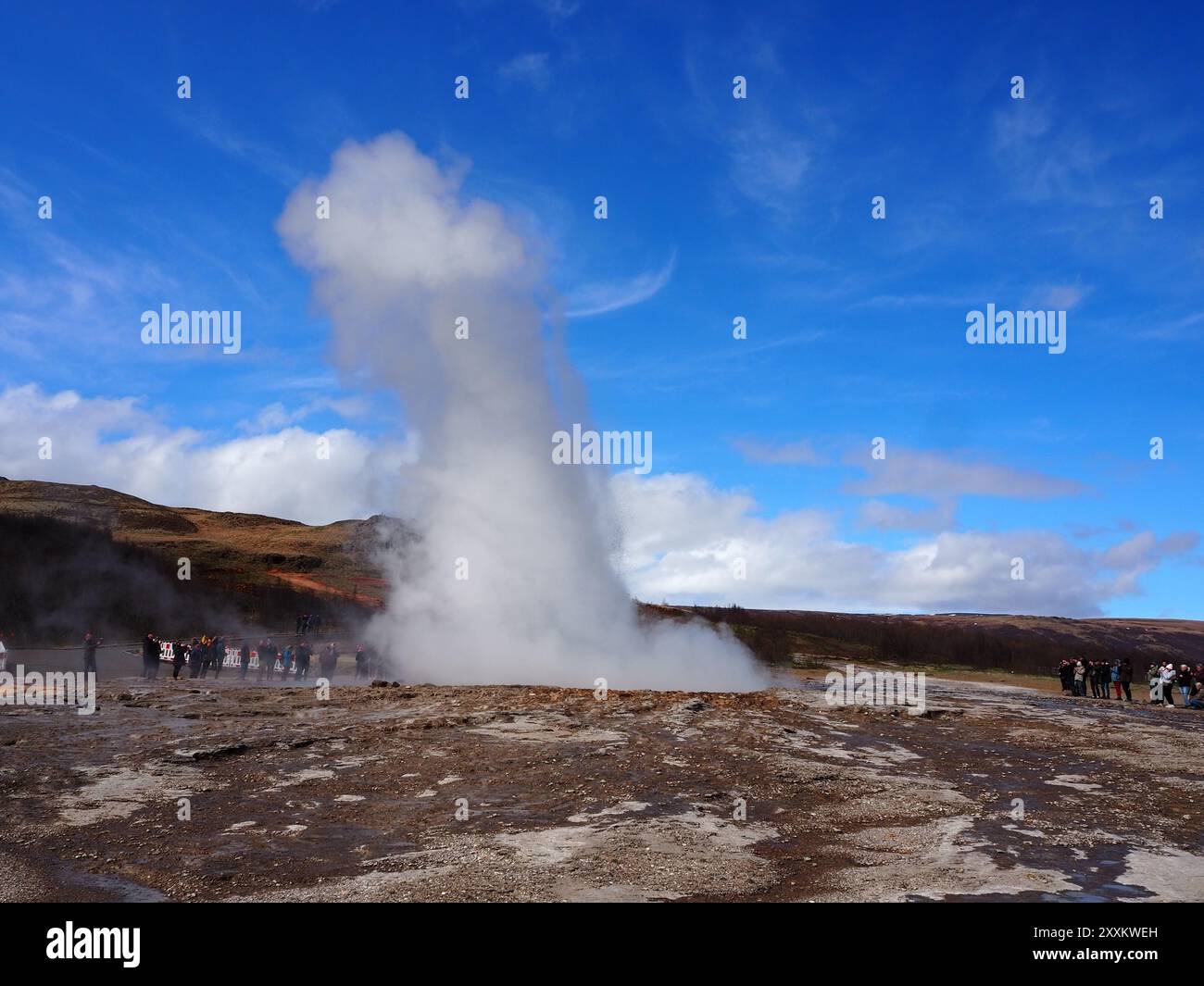 Un geyser in Islanda erutta, proiettando una potente colonna di vapore e acqua nel cielo azzurro, circondato da un paesaggio panoramico e maestoso Foto Stock