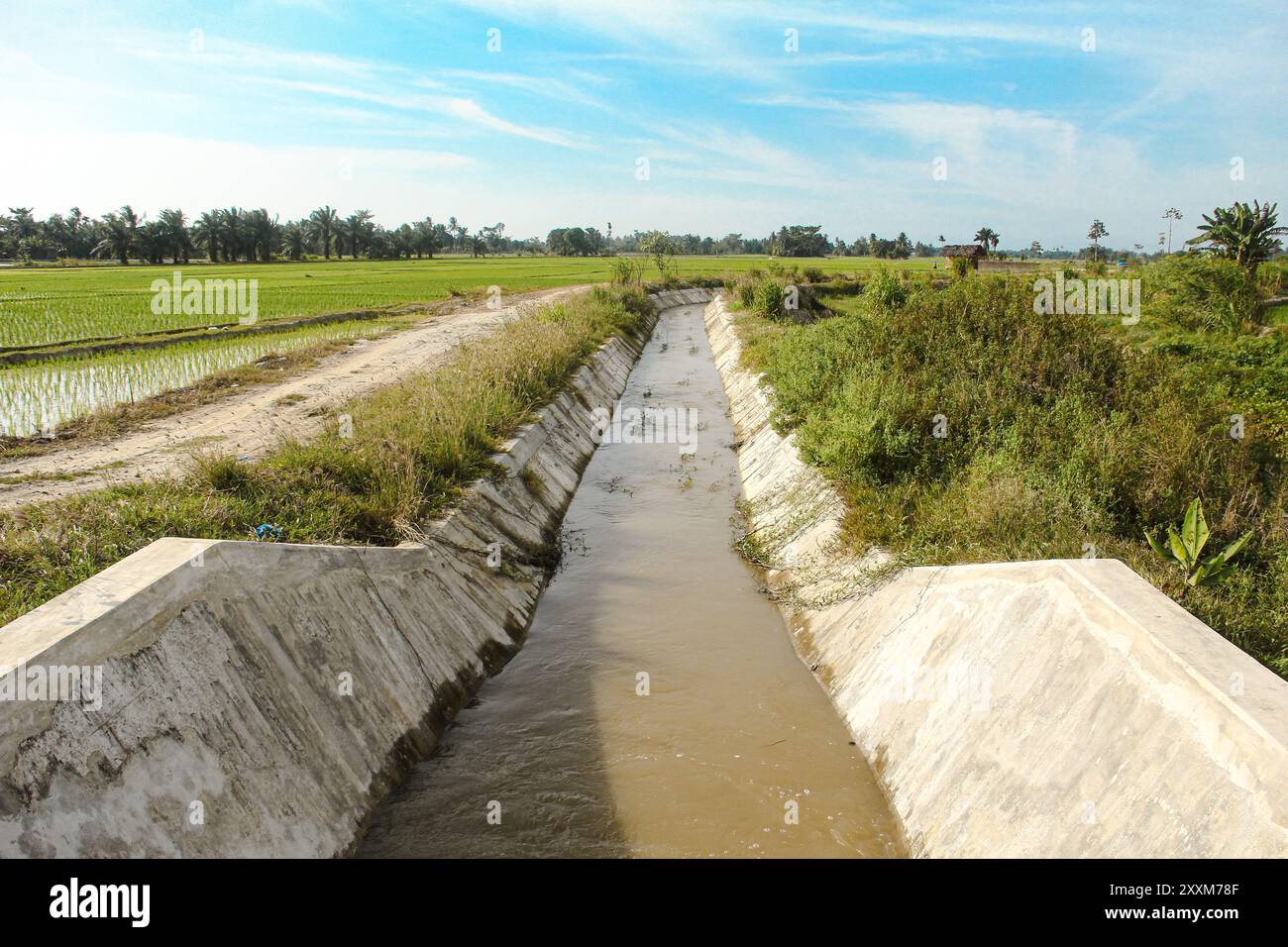 Canali di irrigazione che irrigano campi di riso nelle zone rurali Foto Stock