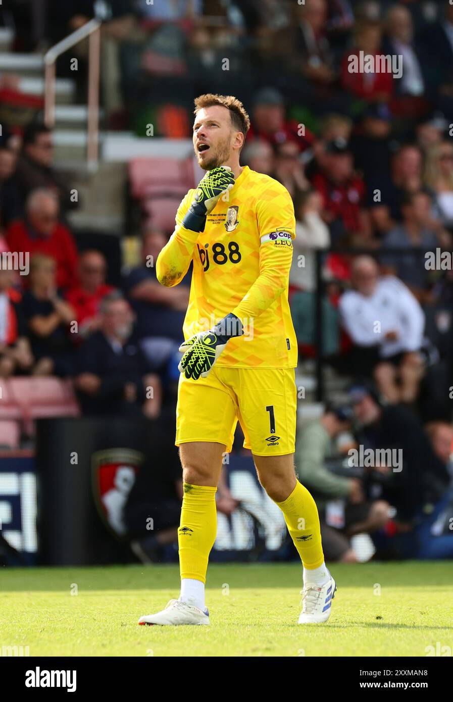 Vitality Stadium, Boscombe, Dorset, Regno Unito. 25 agosto 2024. Premier League Football, AFC Bournemouth contro Newcastle United; Neto portiere del Bournemouth dopo un infortunio tempo scaduto Credit: Action Plus Sports/Alamy Live News Foto Stock