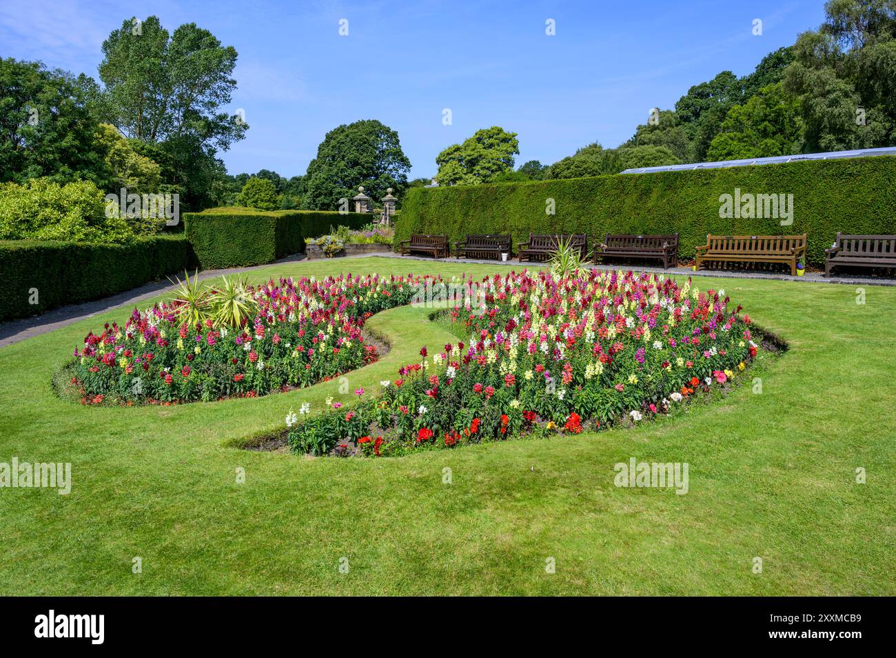 Esposizioni di fiori nel Pollok Country Park, Glasgow, Scozia, Regno Unito, Europa Foto Stock