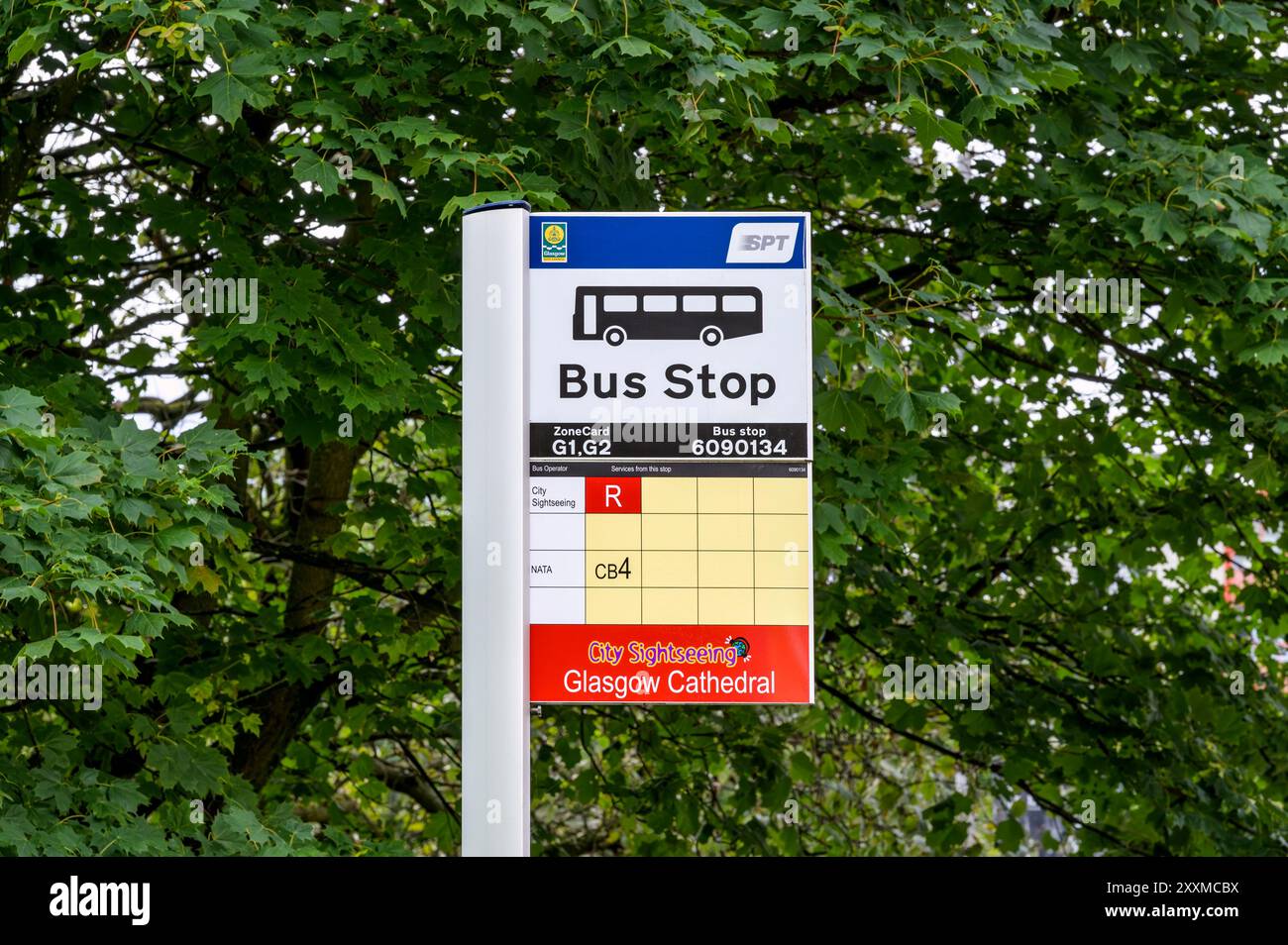 Cartello della fermata dell'autobus, Glasgow, Scozia, Regno Unito, Europa Foto Stock