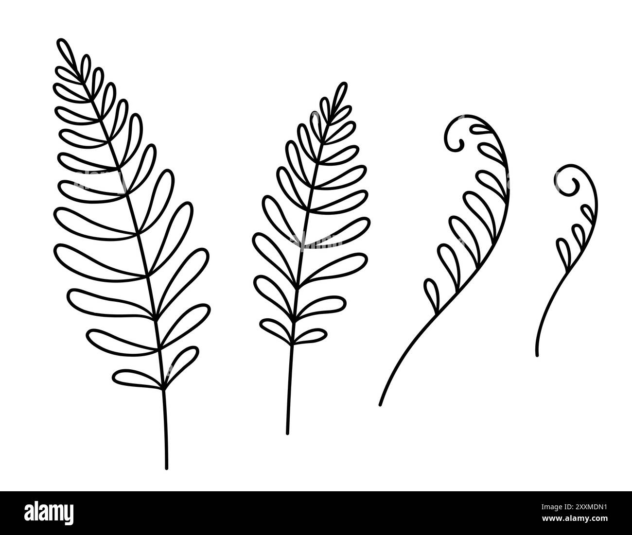 Set di disegni per scarabocchi con foglie di felce. Semplice illustrazione vettoriale in bianco e nero. Illustrazione Vettoriale
