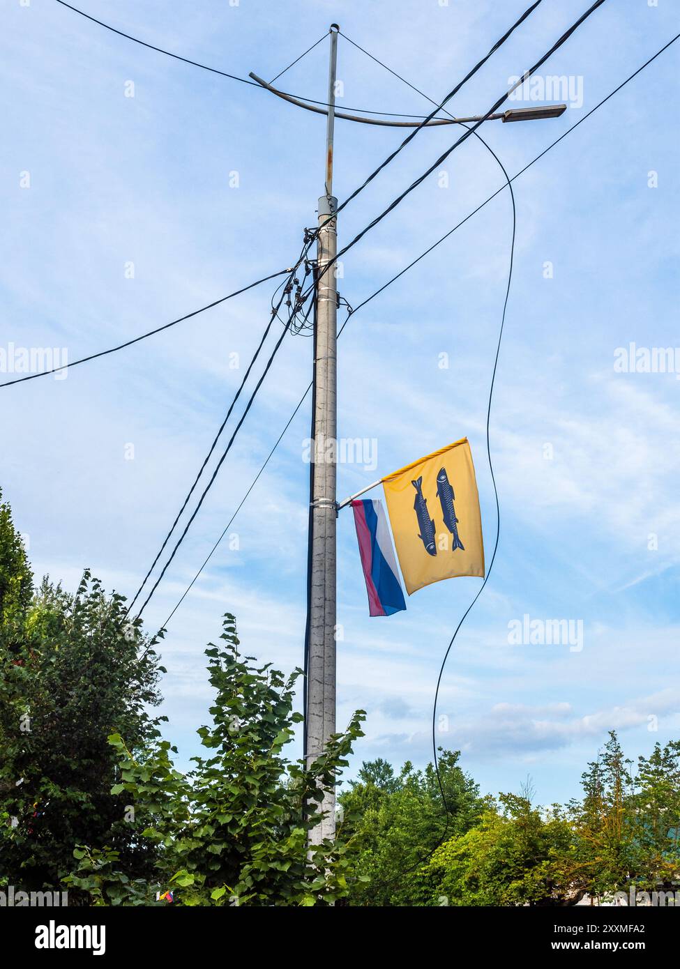 Bandiere della Russia e città di Pereslavl-Zalessky sul palo dell'illuminazione urbana nella città di Pereslavl-Zalessky, Yaroslavl Oblast, Russia, nella soleggiata giornata estiva Foto Stock