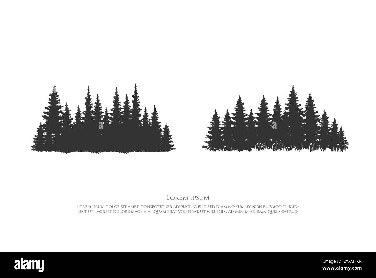 Pine Cedar Conifer conifere Evergreen Fir Larch Cypress Hemlock Tress Forest per Camp Outdoor Adventure Logo Design Vector Illustrazione Vettoriale