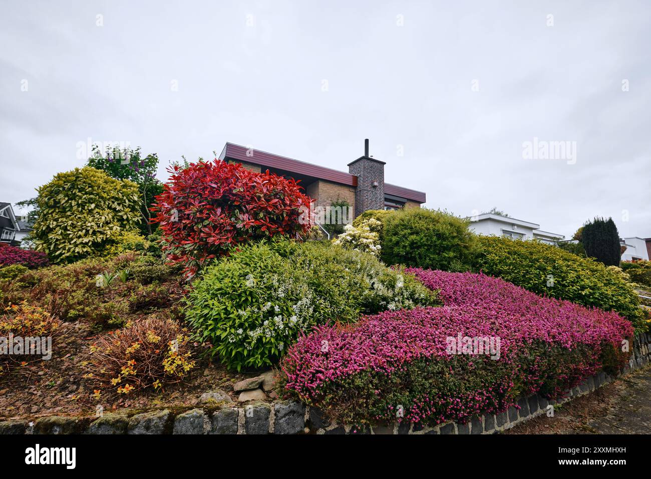 Limburgo, Paesi Bassi - 10 aprile 2024: Bellissimo giardino nel quartiere Sweikhuizen, Sittard Geleen Foto Stock