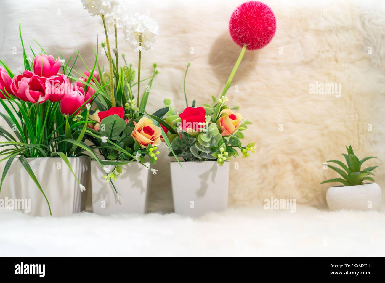 Albero decorativo in vaso sul tavolo, concetto di Minimalismo Foto Stock