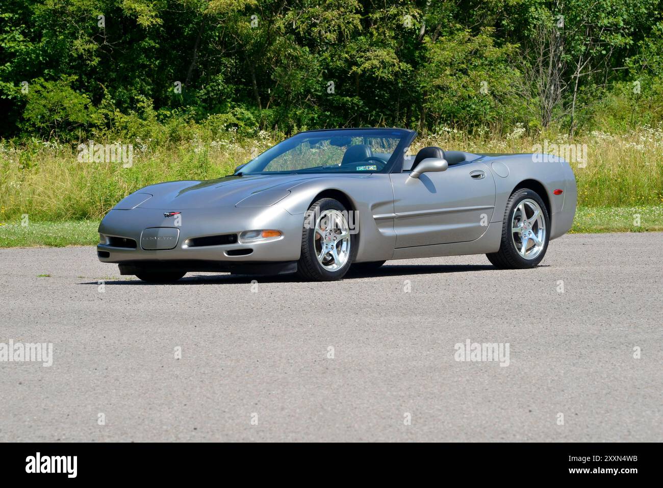 Una Corvette 2000 convertibile in peltro leggero con la sua capote in basso è parcheggiata su uno sfondo di boschi. Foto Stock