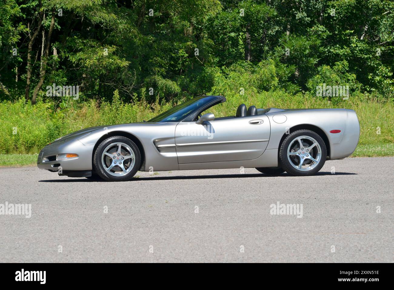 Una Corvette 2000 convertibile in peltro leggero con la sua capote in basso è parcheggiata su uno sfondo di boschi. Foto Stock