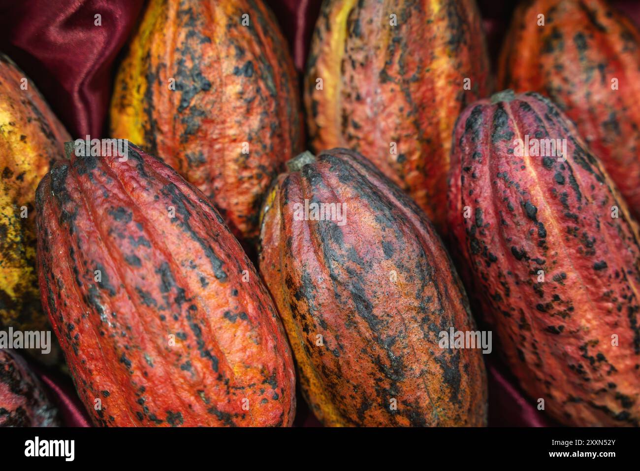 Foto ravvicinata di cialde di cacao colorate. Foto Stock
