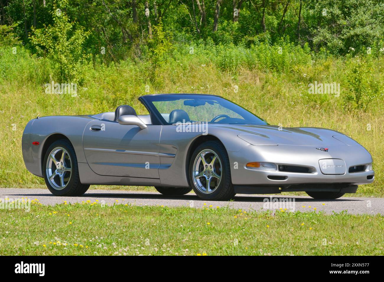 Una Corvette 2000 convertibile in peltro leggero con la sua capote in basso è parcheggiata su uno sfondo di boschi. Foto Stock