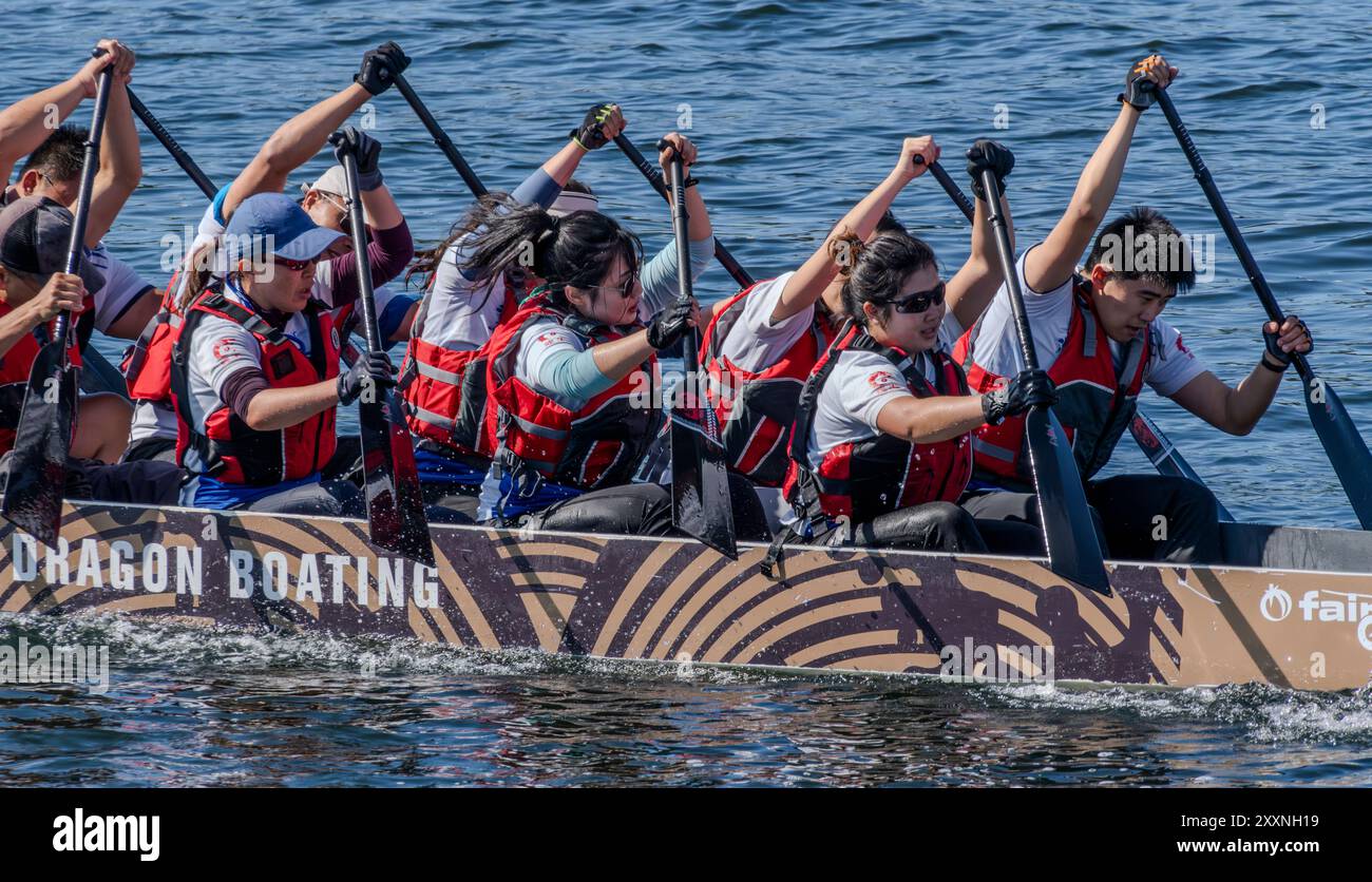 I membri del team di Dragon boat pagaiano in una gara nella Gorge Waterway a Victoria, British Columbia, Canada il 25 agosto 2024. Foto Stock