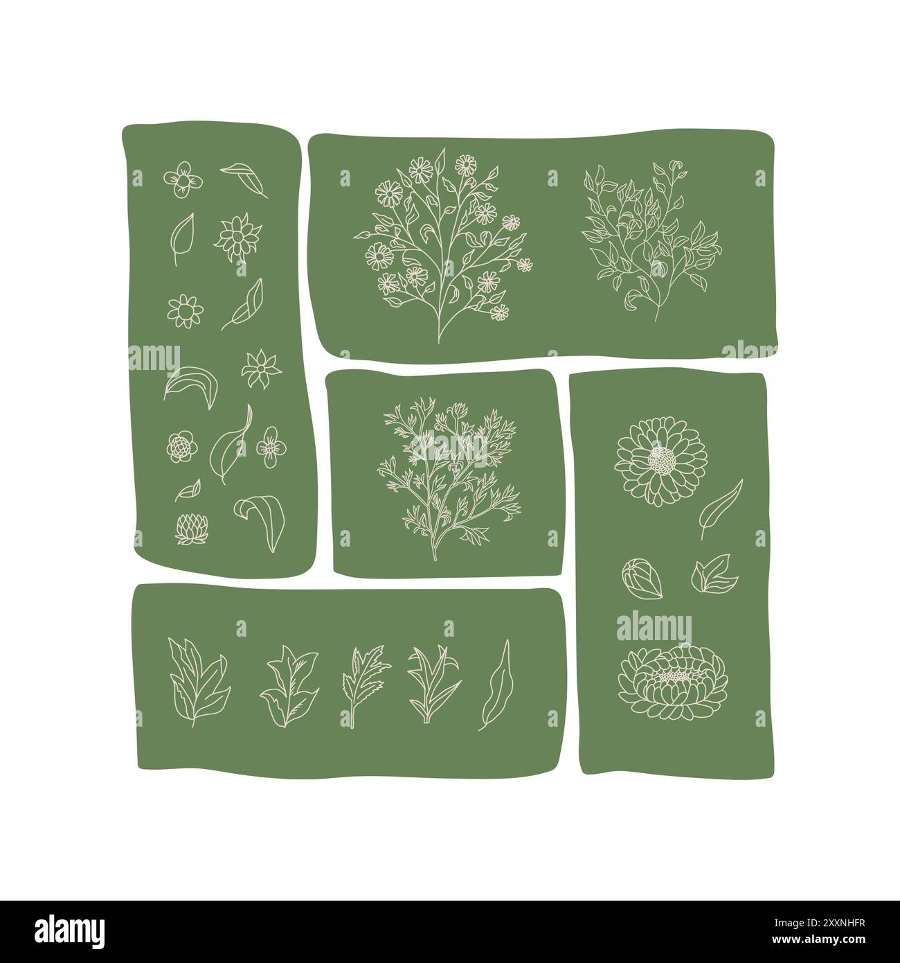 Design patchwork con vari elementi floreali e botanici disposti in segmenti rettangolari isolati su sfondo bianco. Illustrazione vettoriale Illustrazione Vettoriale