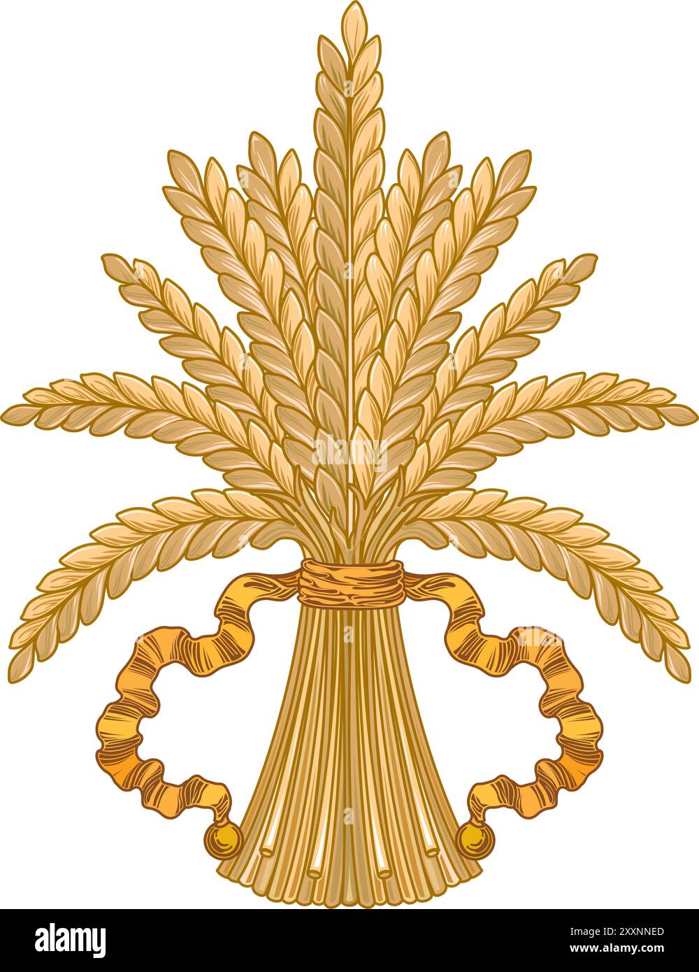 Set di spikelets maturi gialli di grano e grani di immagine vettoriale piano di grano isolato su sfondo bianco Illustrazione Vettoriale